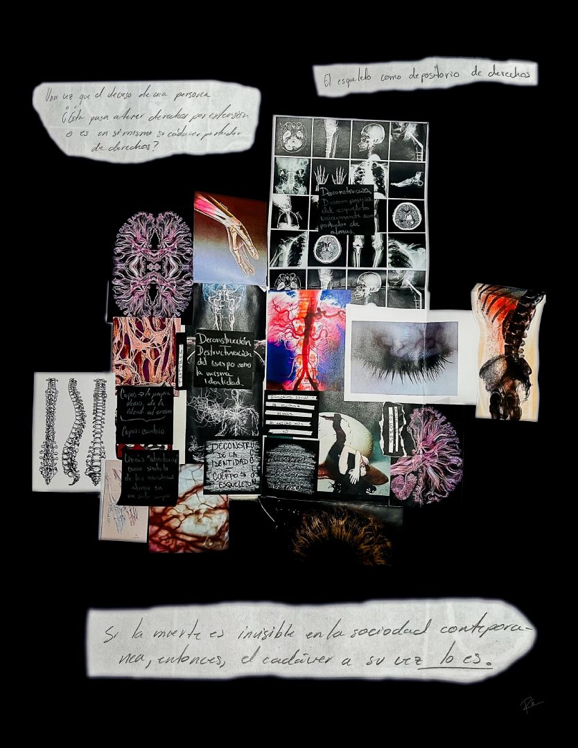 moodboard1